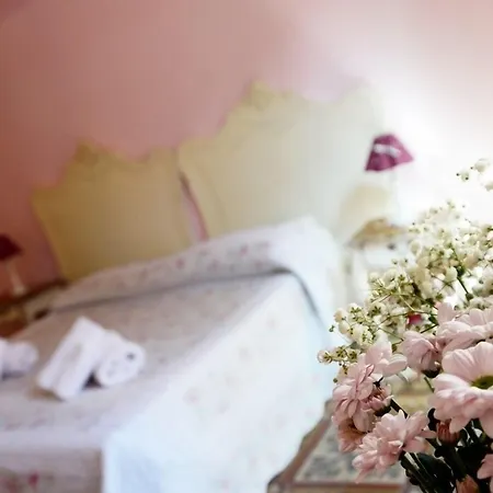 Il Corso 41 Openhouse *