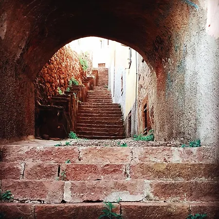 Il Corso 41 Openhouse